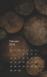 Firewood February