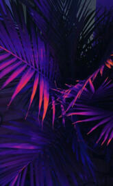 Neon palm leafs