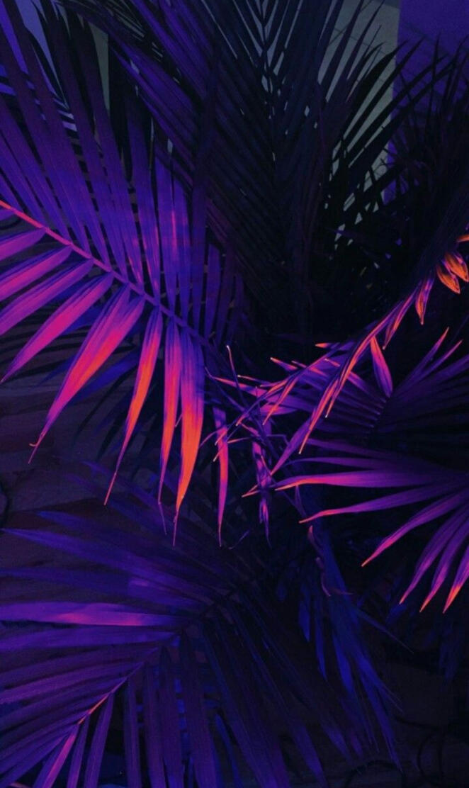 Neon palm leafs