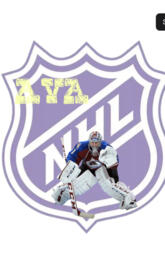 just a girl who loves hockey🏒