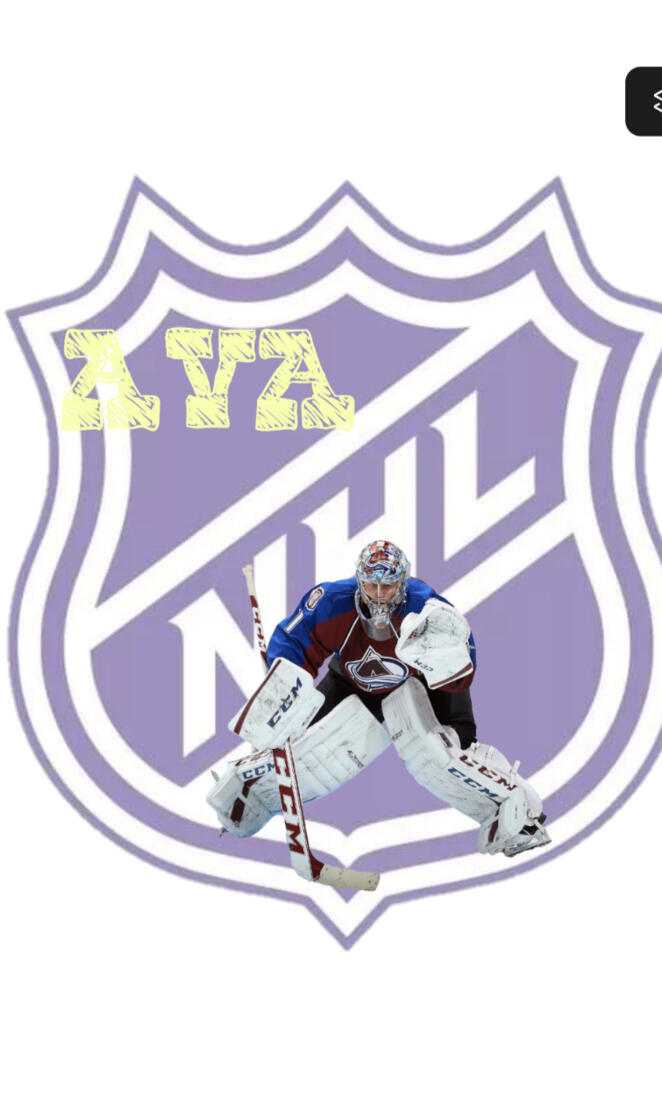 just a girl who loves hockey🏒