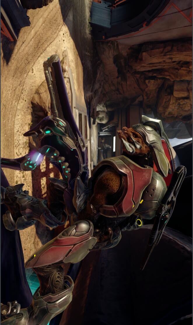 Sangheili Comandante