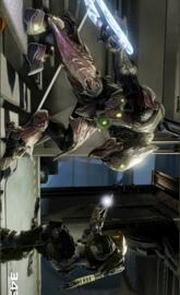 Zealot contra el Jefe