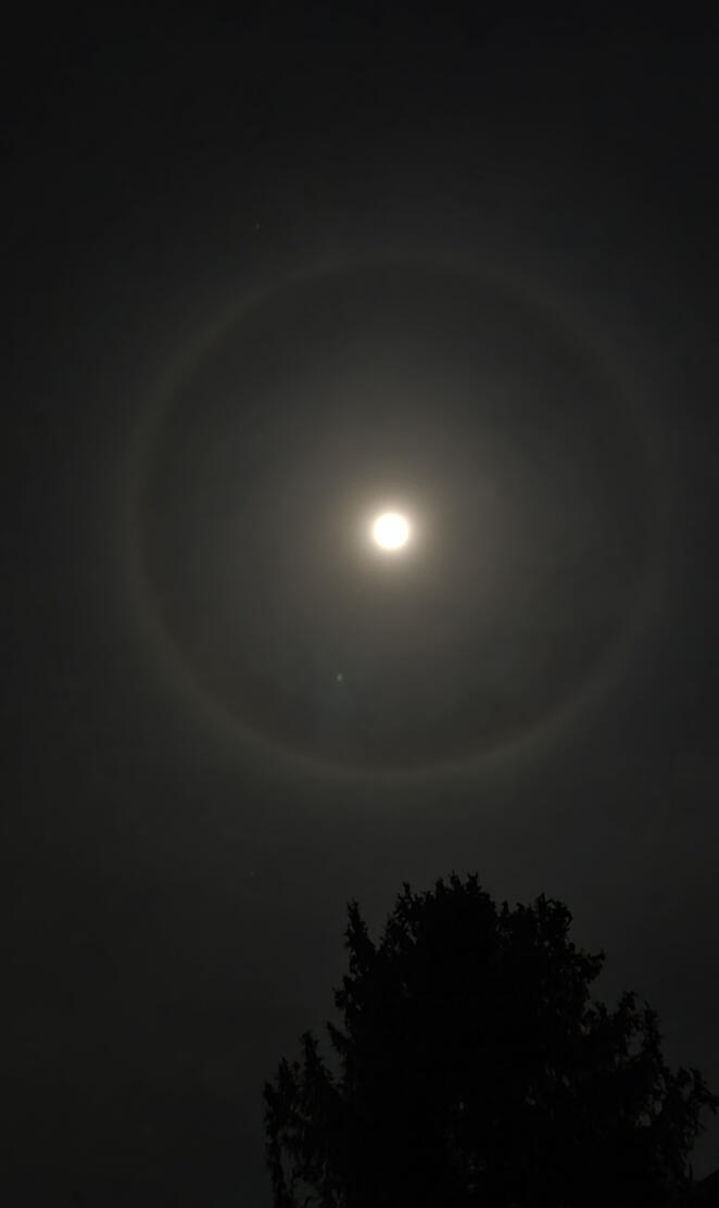 Moon Halo 2