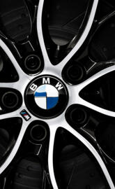 BMW M Sport Rim