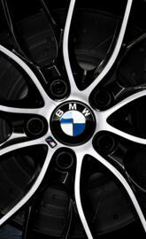 BMW M Sport Rim