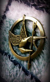 The Mockingjay Pin