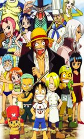 One piece el pasado