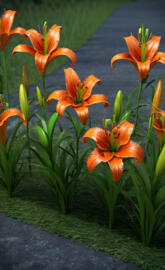 Tiger Lily