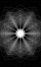 Black n white flower