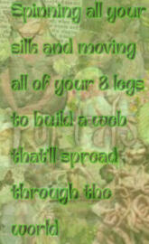 Melanie Martinez Spider Web