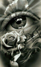 Rose eye
