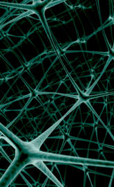 Net Neuron
