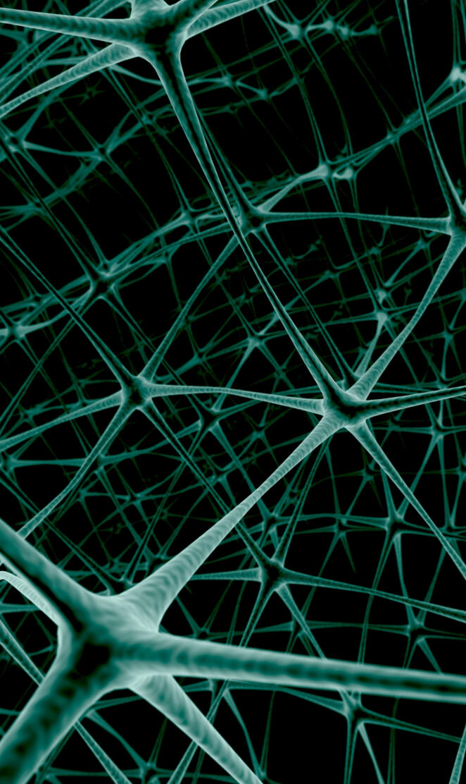 Net Neuron
