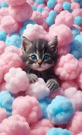 kitten in a pile of cotton candy