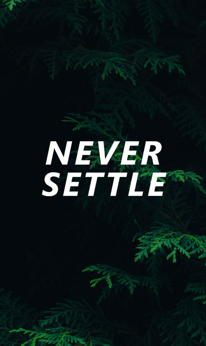 NEVER SETTLE 1
