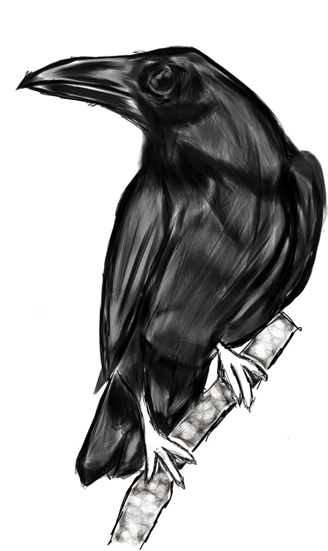Crow
