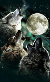 Howling Wolf Pack