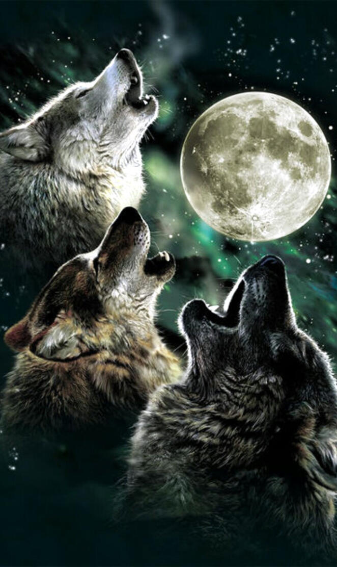 Howling Wolf Pack