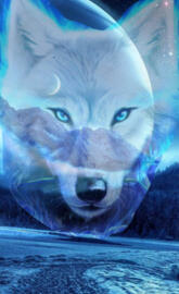 White wolf And moon