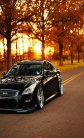 Slammed G37s