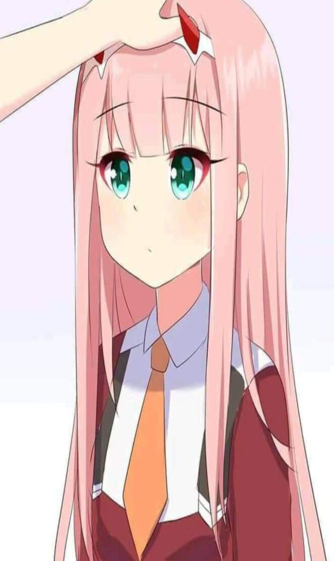 Head pat zerotwo