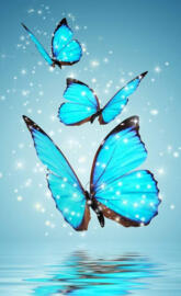 flutter
