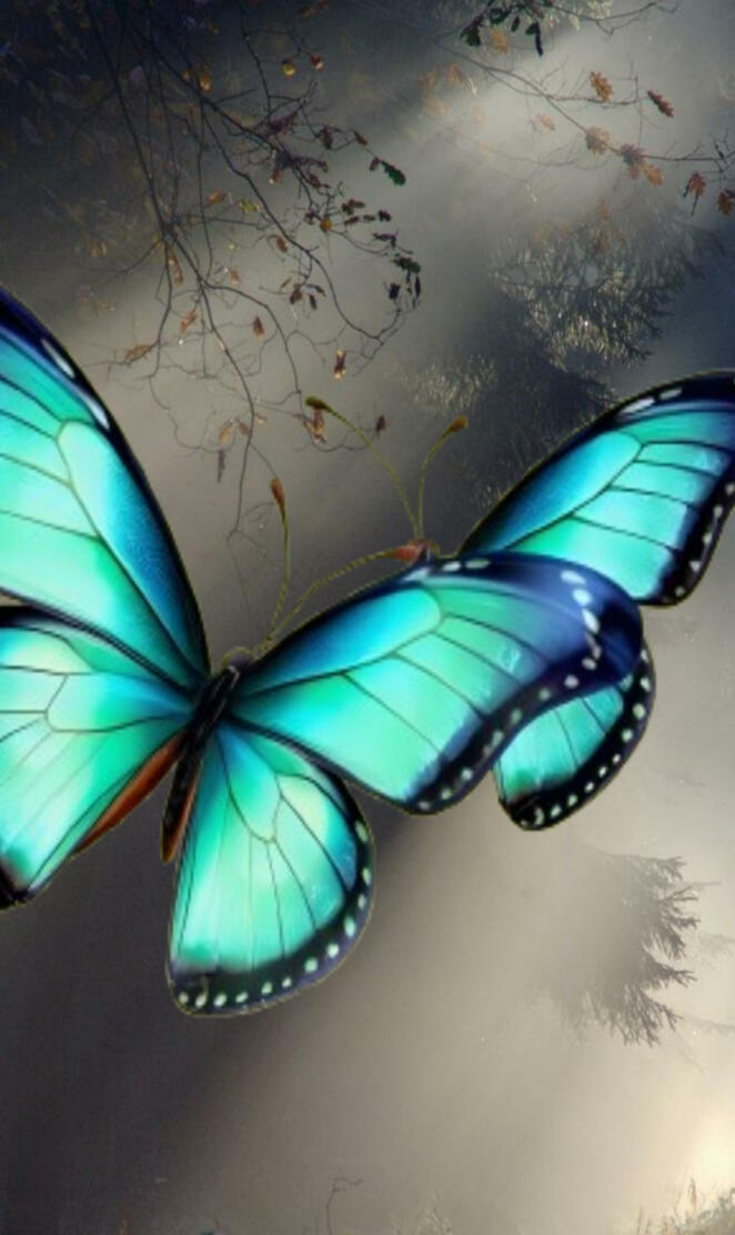 Fluttering Dreams Elegance in Every Wing