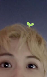 Bean sprout mark lee