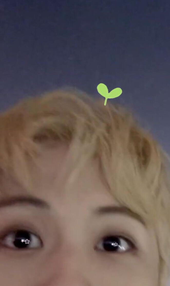 Bean sprout mark lee