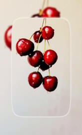 HD WALLPAPER FRESH CHERRIES 🍒