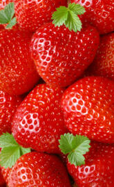 Fragole Magiostre