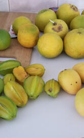 Grenada fruits