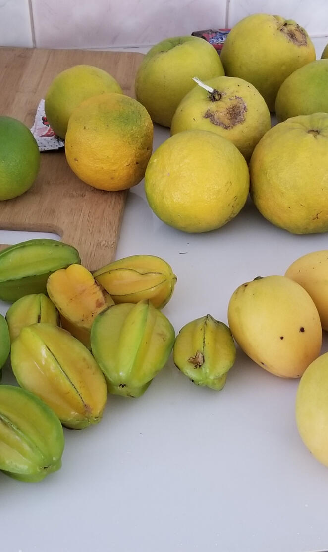 Grenada fruits