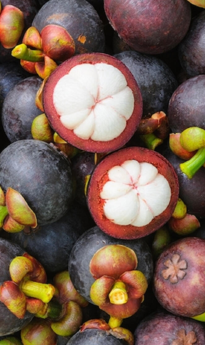 Mangosteen