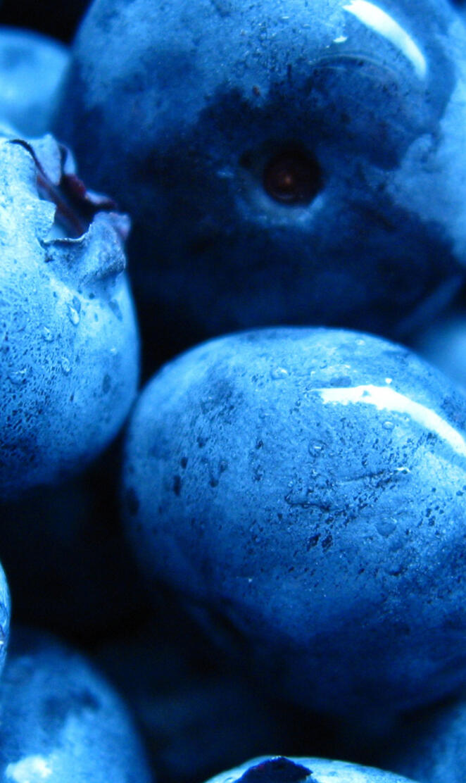 Blueberries