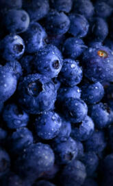 Blueberries