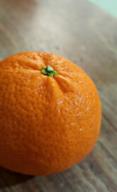 Mandarina