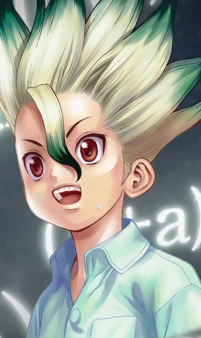 Dr Stone