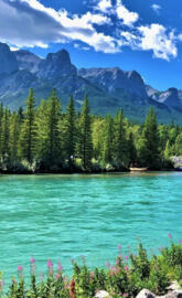 Bow river Alberta Cana