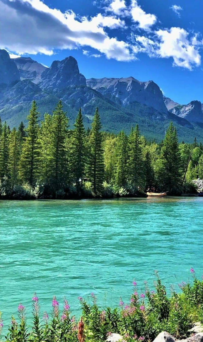 Bow river Alberta Cana