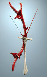 bow & Arrow made out of bone...
