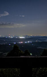 Fox hunters paradise at night