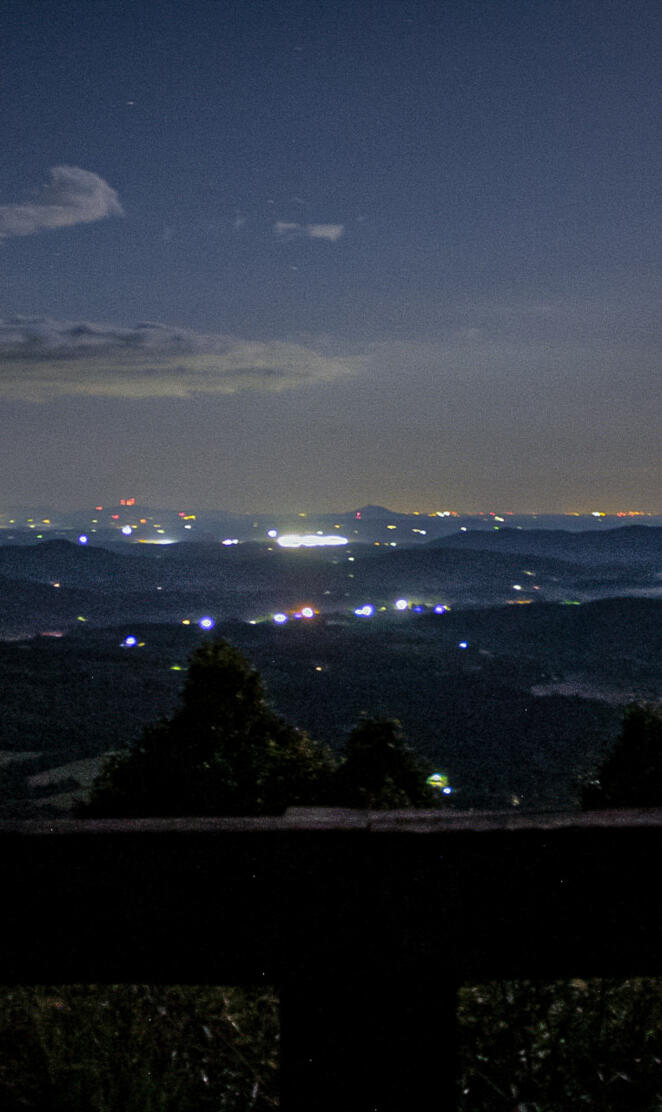 Fox hunters paradise at night
