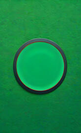 a red and green disk on a green surface