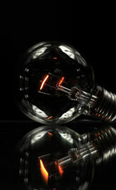 Bulb