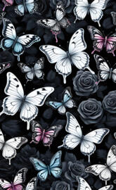 bw butterflies