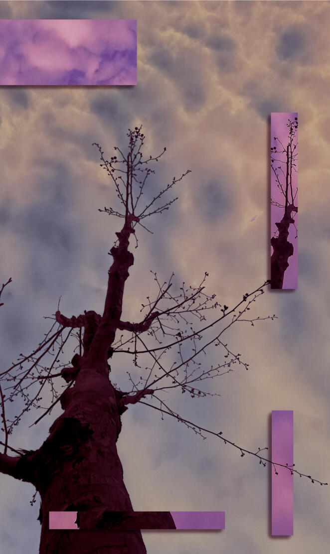 Vapor Tree