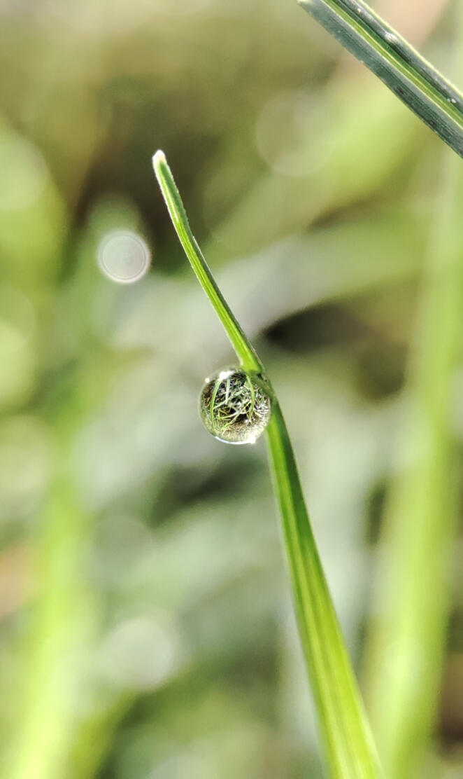 Droplet