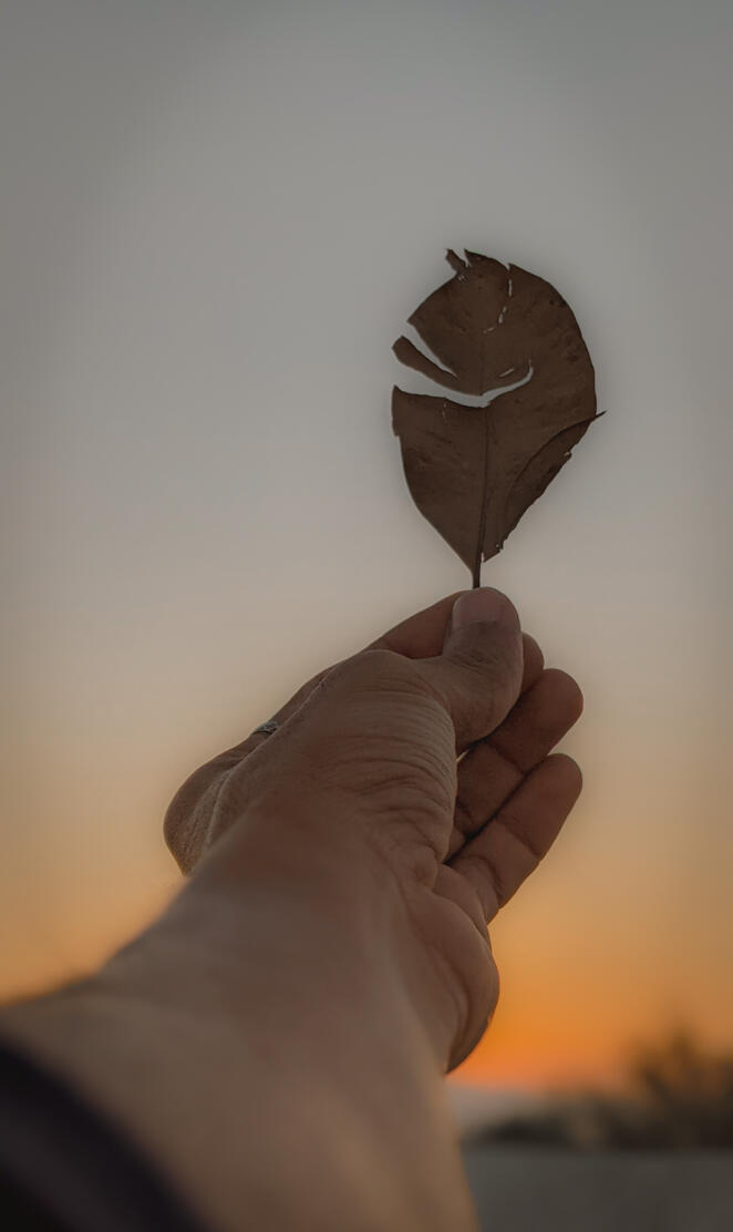 Dry Leave